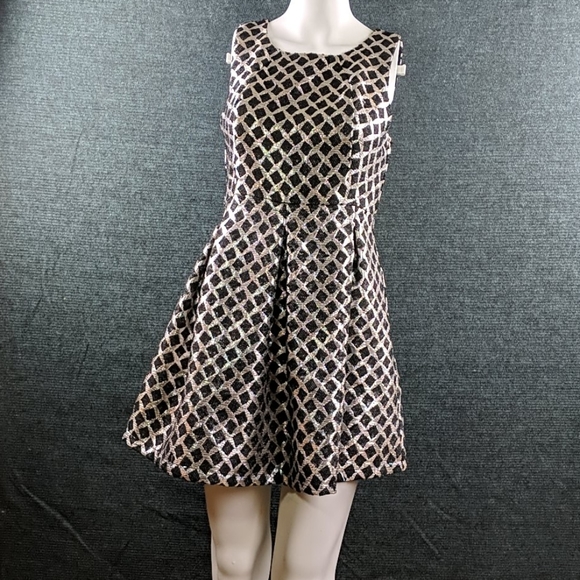 Karlie Dresses & Skirts - Karlie Fit & Flare Metallic Thread